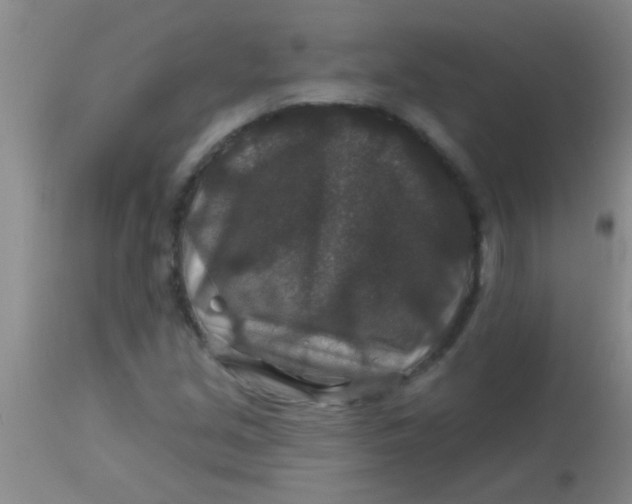 X0000113861213200910151228