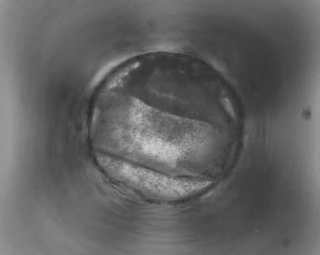 X0000113861214200910151228
