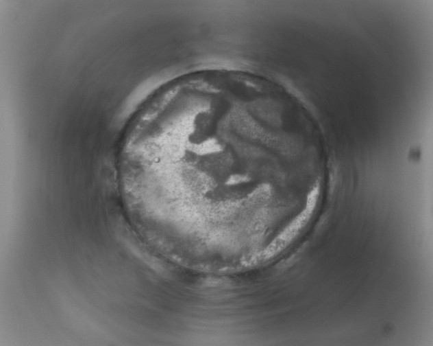 X0000113861215200910151228