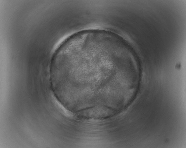 X0000113861216200910151228