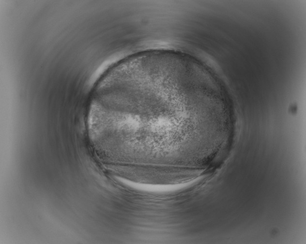 X0000113861218200910151228