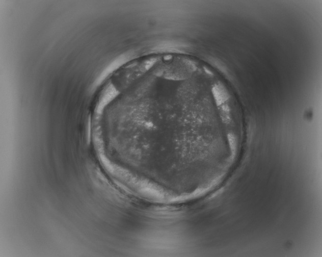 X0000113861219200910151228