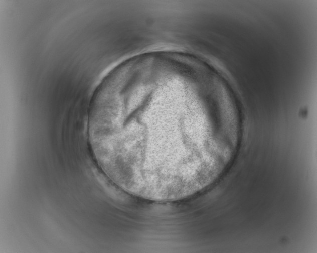 X0000113861220200910151228