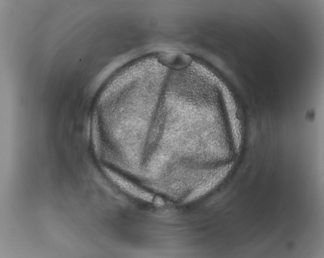 X0000113861221200910151228