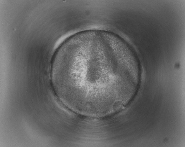 X0000113861222200910151228