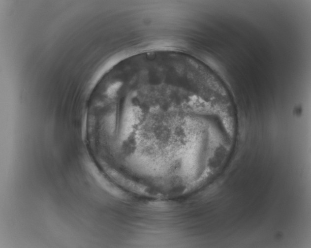 X0000113861227200910151228