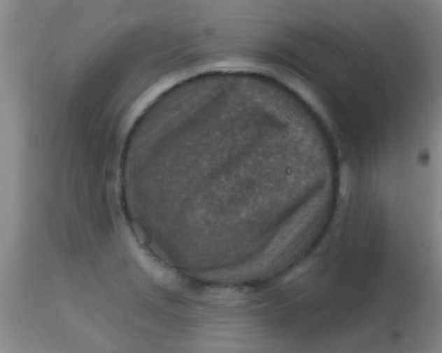 X0000113861229200910151228