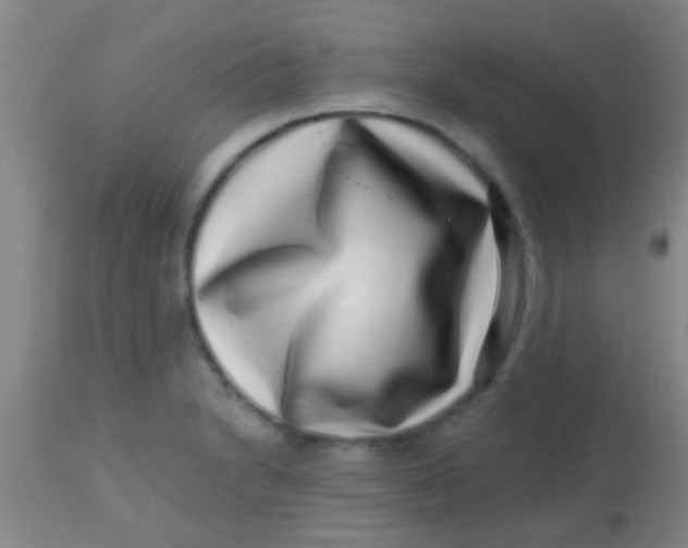 X0000113861230200910151228