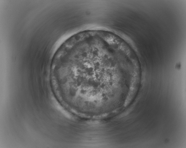 X0000113861231200910151228
