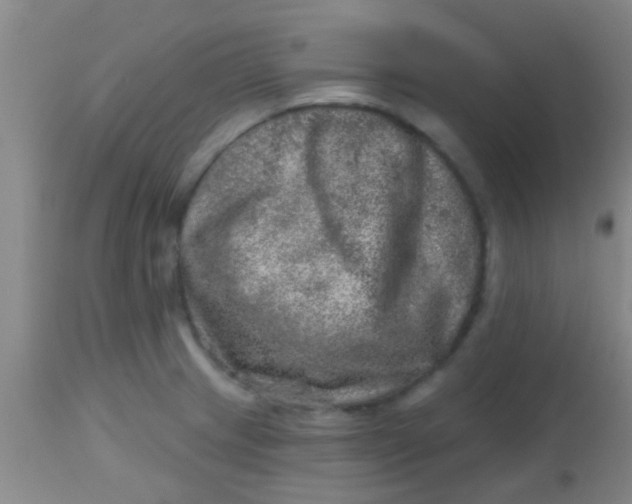 X0000113861233200910151228