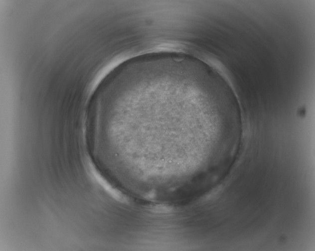X0000113861235200910151228