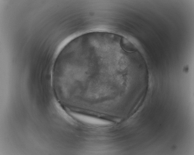 X0000113861238200910151228