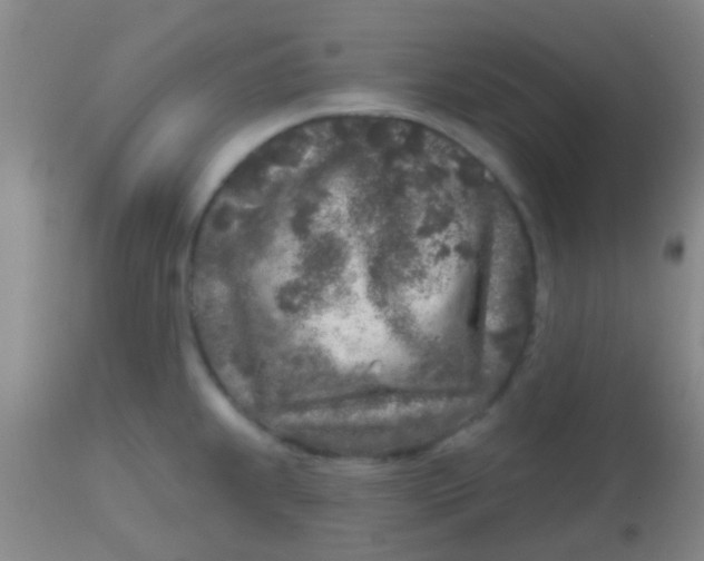 X0000113861239200910151228