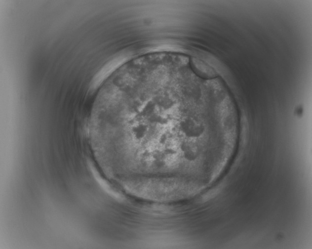X0000113861241200910151228