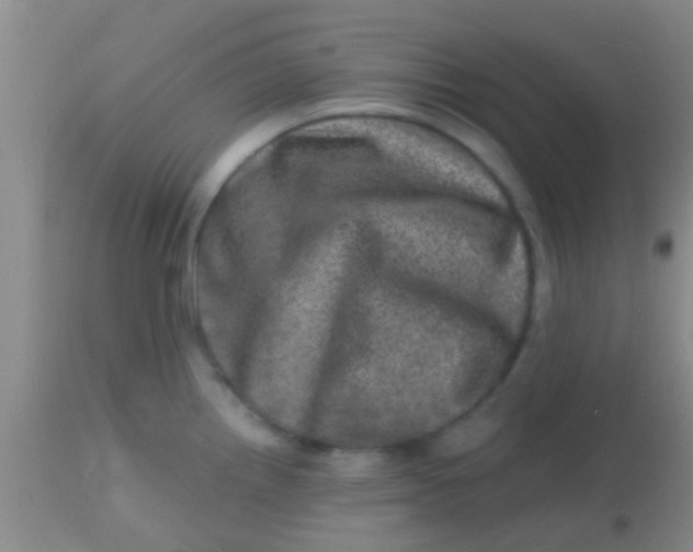 X0000113861242200910151228