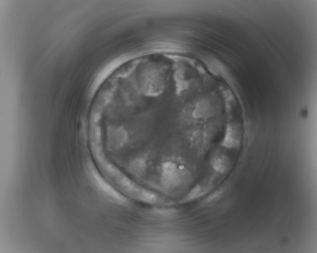 X0000113861243200910151228