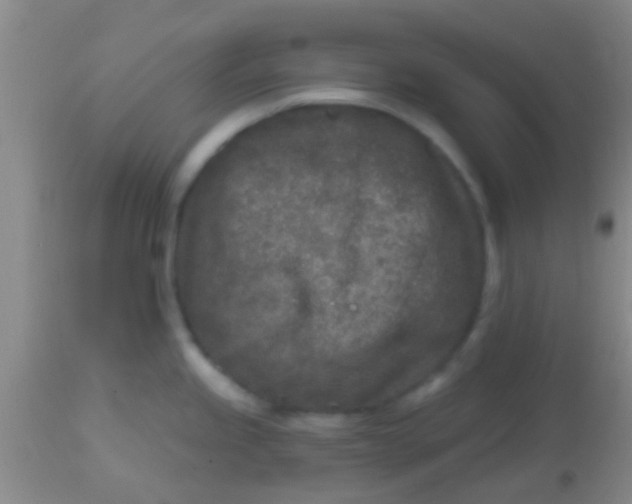 X0000113861245200910151228