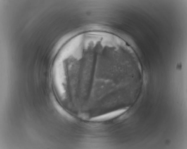 X0000113861247200910151228