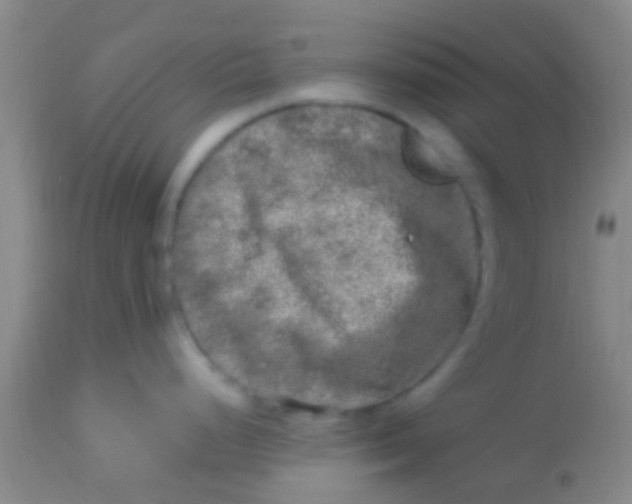 X0000113861248200910151228