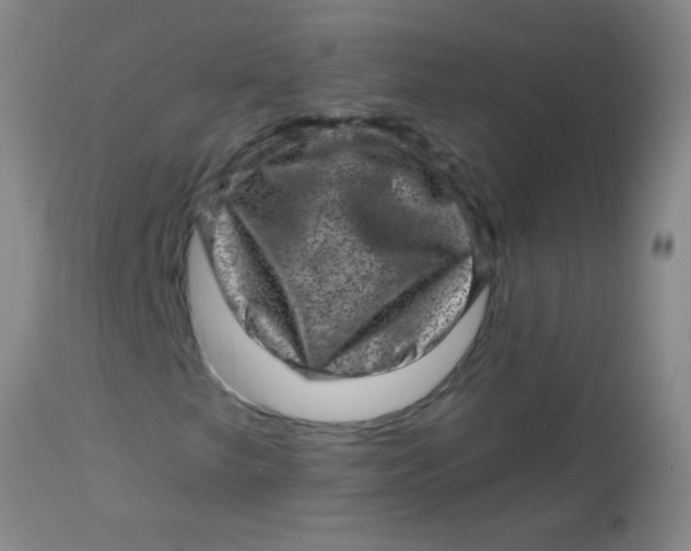 X0000113861249200910151228
