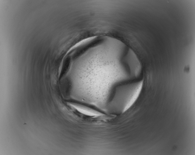 X0000113861250200910151228