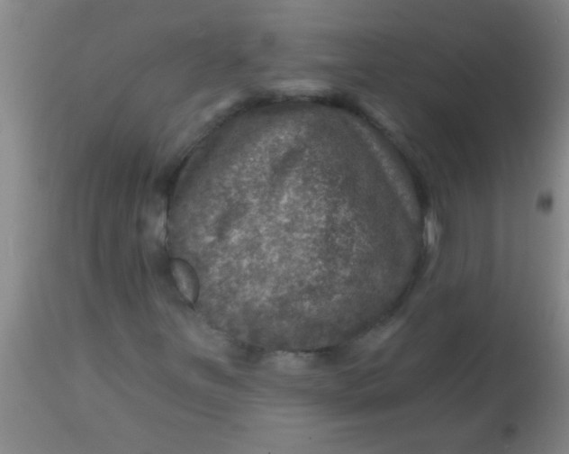 X0000113861251200910151228