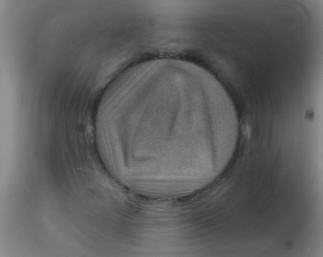 X0000113861252200910151228