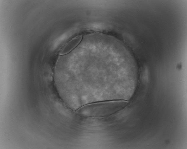 X0000113861253200910151228