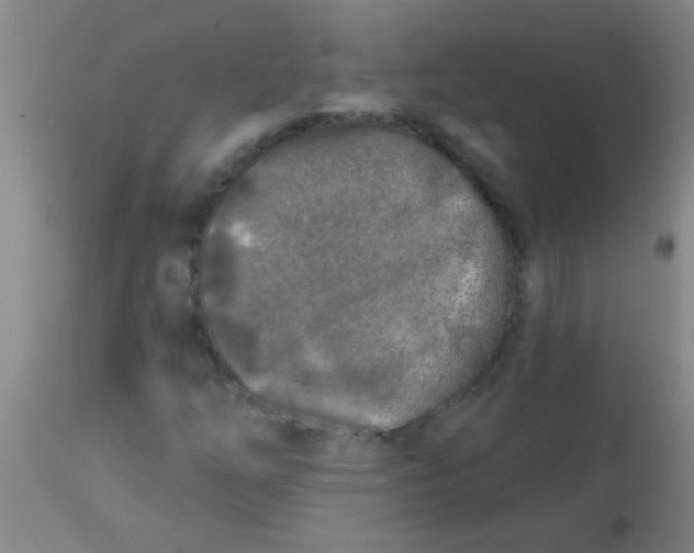 X0000113861254200910151227