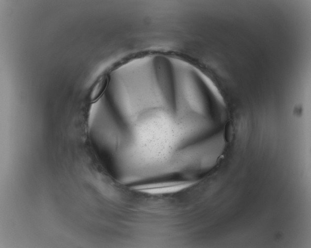 X0000113861256200910151227