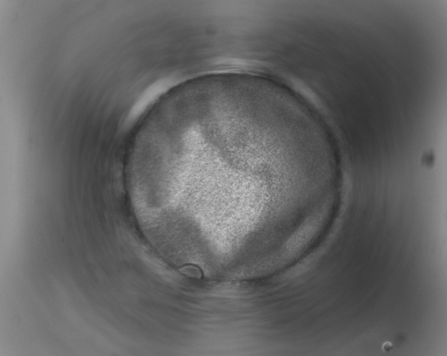 X0000113861259200910151227