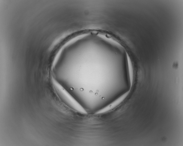 X0000113861262200910151227