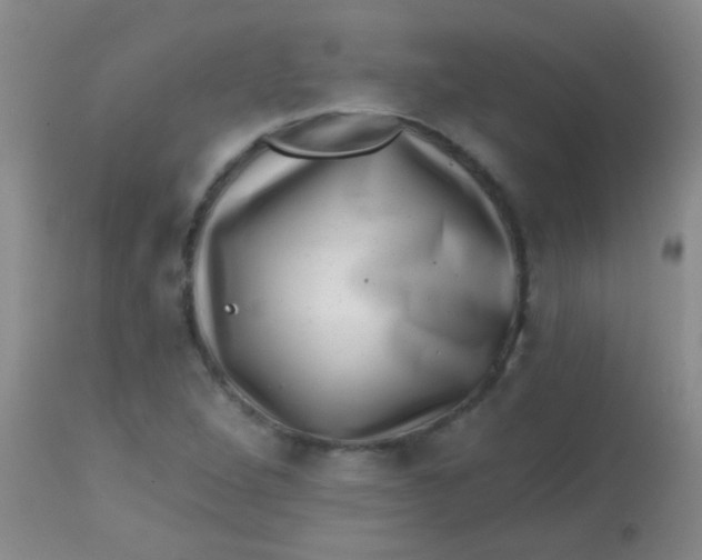 X0000113861264200910151227