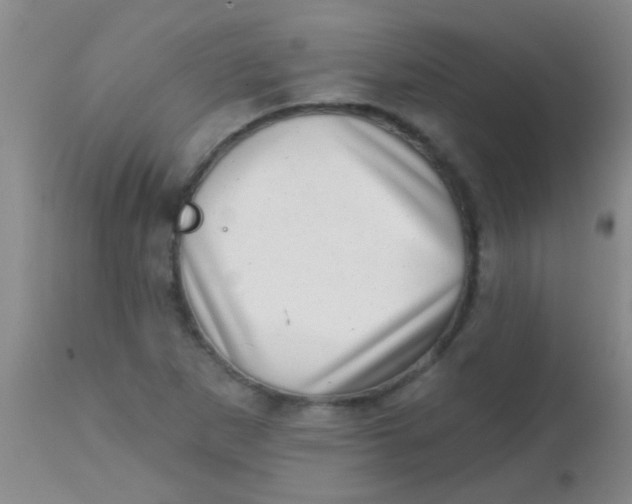 X0000113861265200910151227