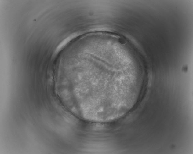 X0000113861266200910151227