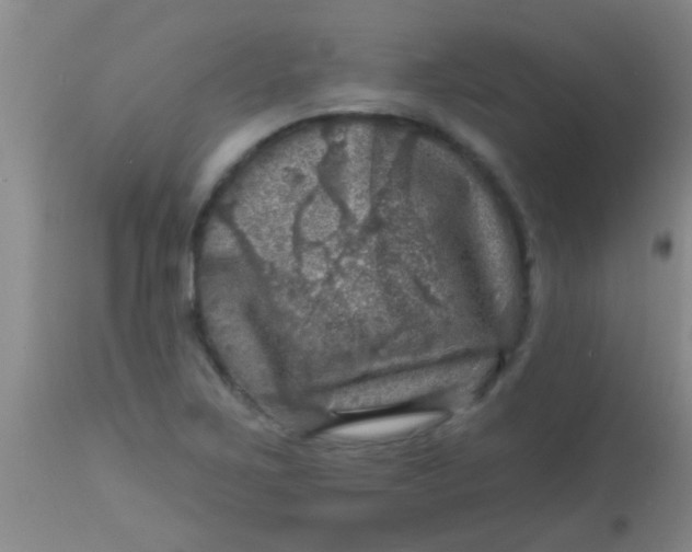 X0000113861267200910151227
