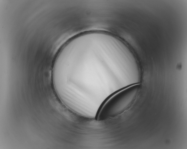 X0000113861268200910151227