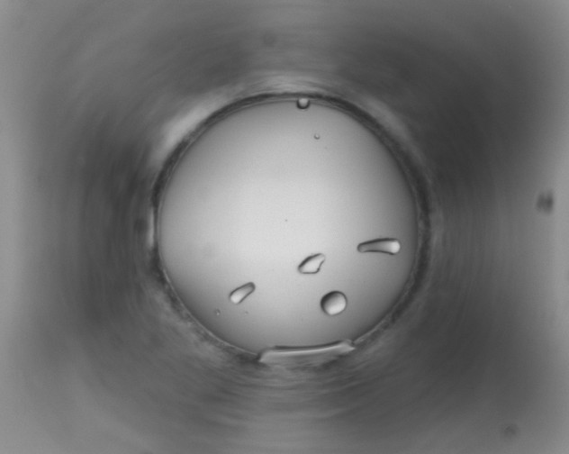 X0000113861269200910151227