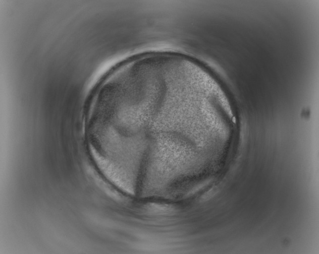 X0000113861270200910151227