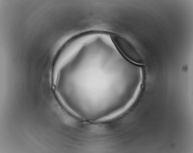 X0000113861272200910151227
