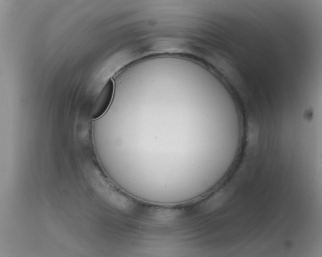 X0000113861273200910151227