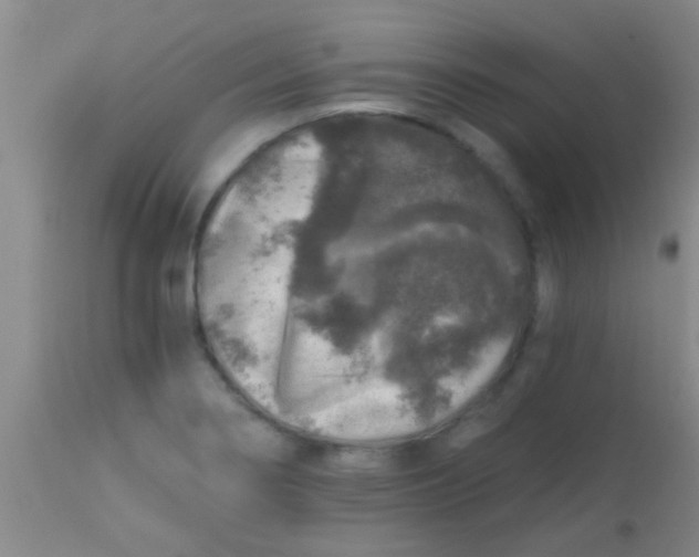 X0000113861274200910151227