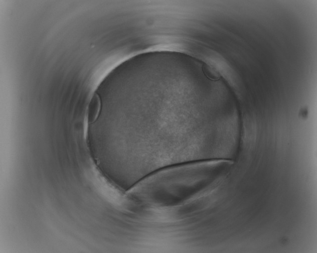 X0000113861276200910151227