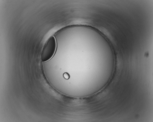 X0000113861277200910151227