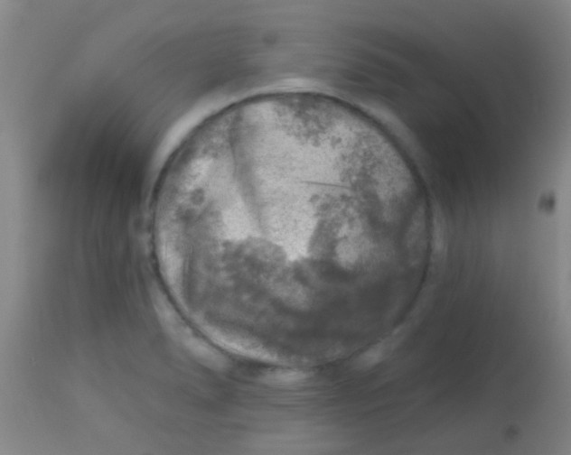 X0000113861278200910151227