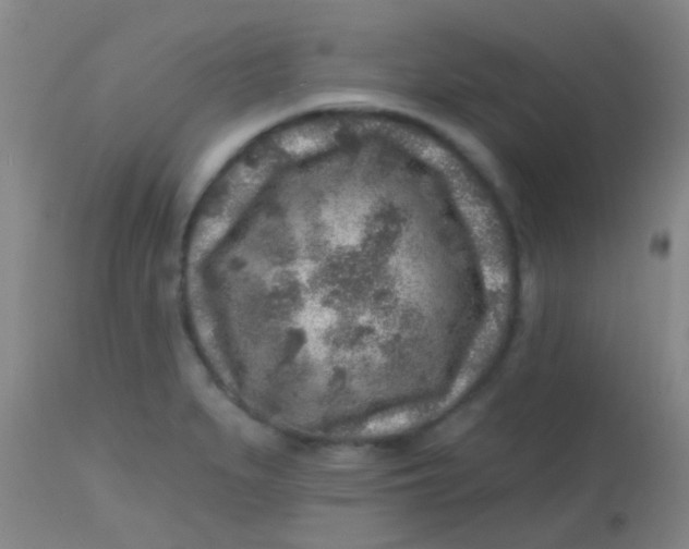 X0000113861279200910151227