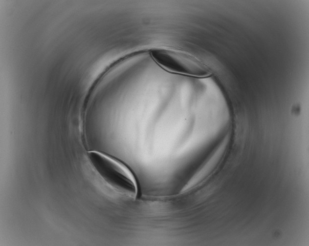 X0000113861280200910151227