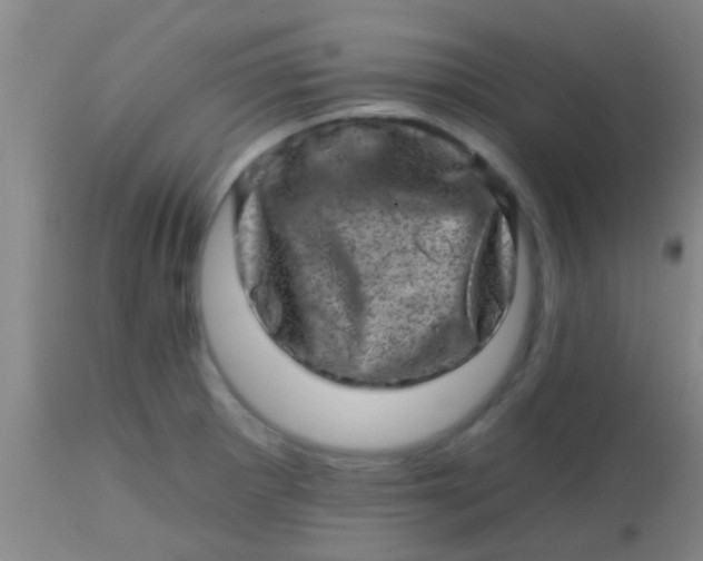 X0000113861281200910151227