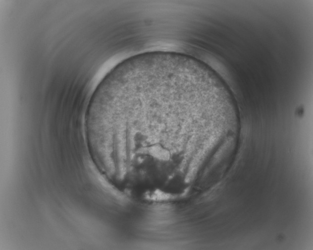 X0000113861283200910151227