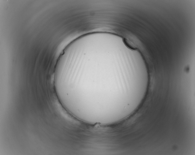 X0000113861284200910151227